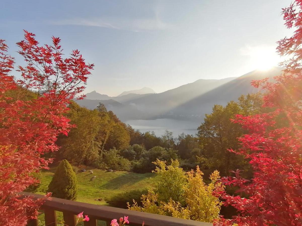 Bed and Breakfast La Finestra Sul Lago à Brusimpiano Extérieur photo