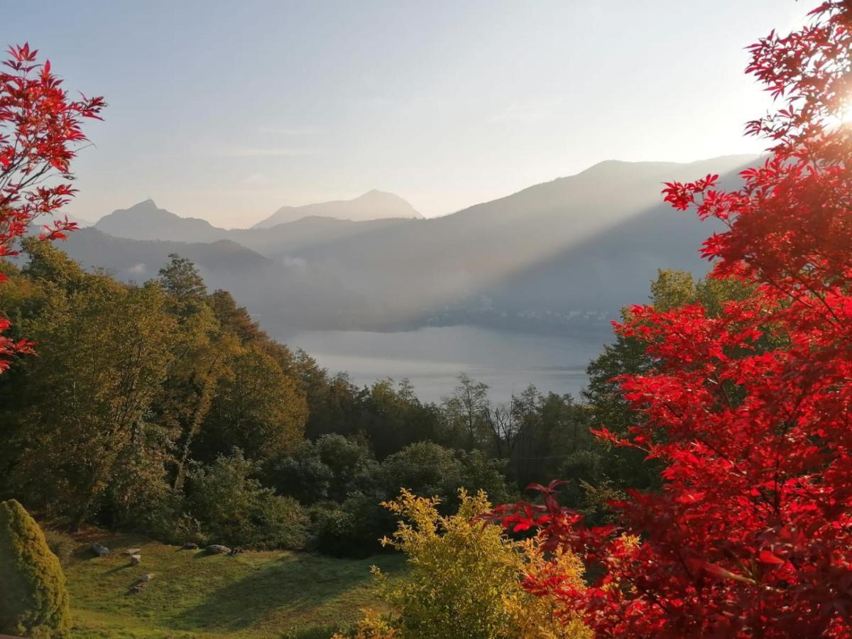 Bed and Breakfast La Finestra Sul Lago à Brusimpiano Extérieur photo