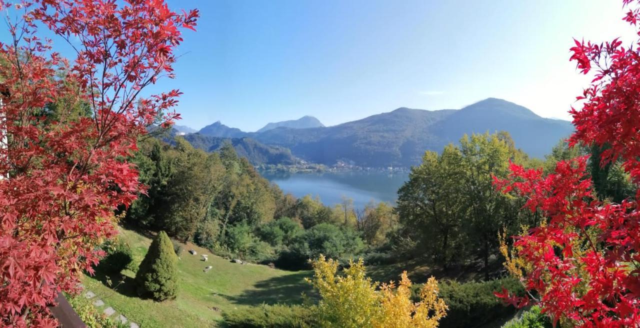 Bed and Breakfast La Finestra Sul Lago à Brusimpiano Extérieur photo