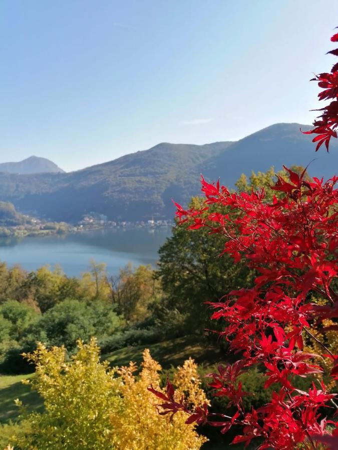 Bed and Breakfast La Finestra Sul Lago à Brusimpiano Extérieur photo