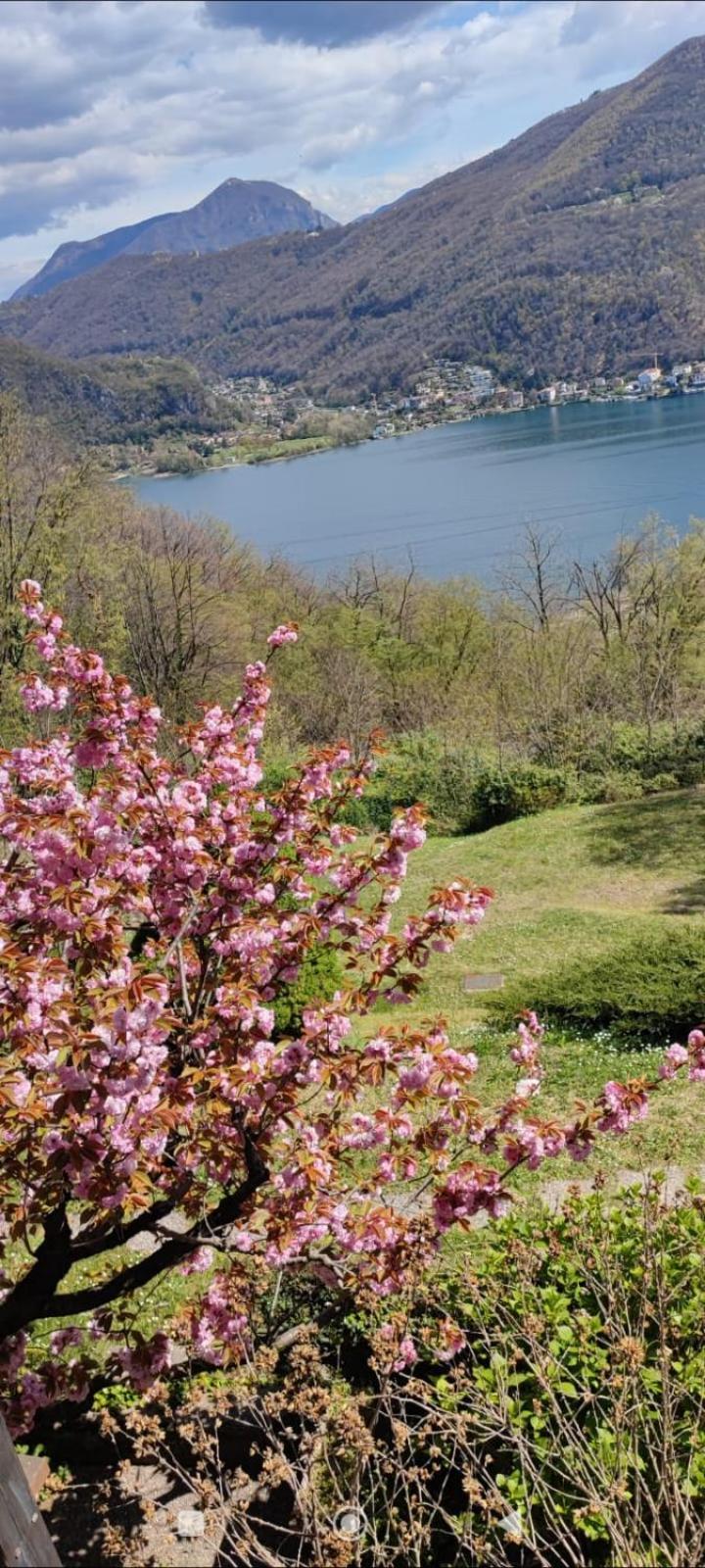 Bed and Breakfast La Finestra Sul Lago à Brusimpiano Extérieur photo